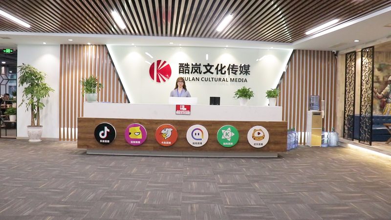医学三维动画制作：如何选择合适的报价与公司**