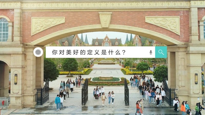 三维动画制作，显卡选型揭秘：性能与需求的平衡之道