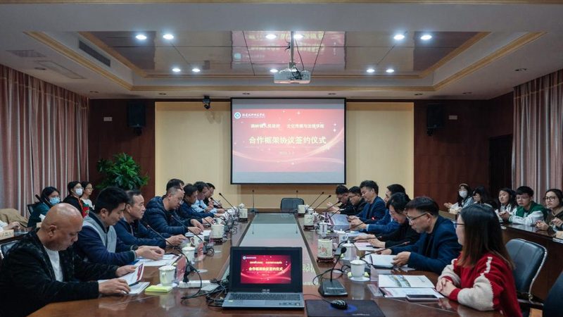 宣传片拍摄风格与脚本设计的艺术与科学