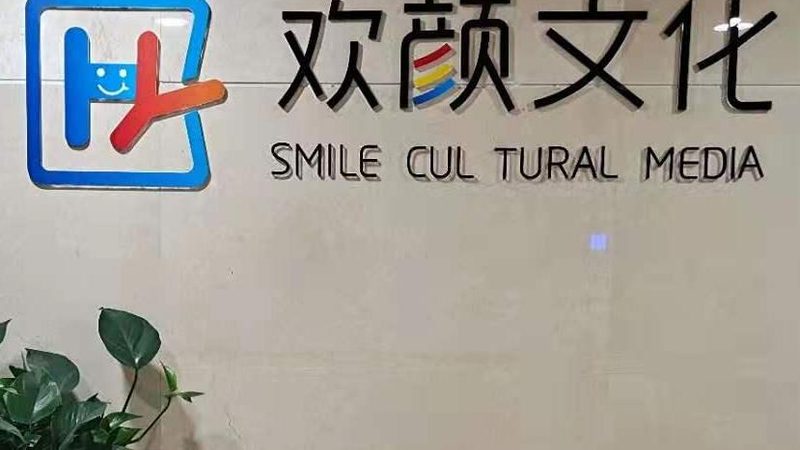 VI设计流程：揭秘步骤与常见问题解析**